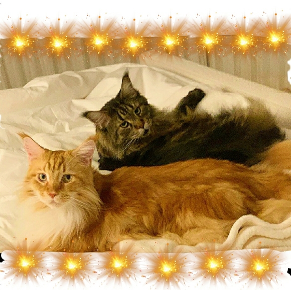 Meet the boys! - Picture 6 of 13